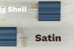 Eggshell vs Satin: Choosing the Right Paint Finish | Best Final Touch: Elevate Your Projects with Professional Finishing