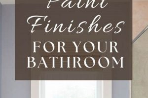 Best Finish: What Paint for Bathroom Works Wonders! Best Final Touch: Elevate Your Projects with Professional Finishing Best Finish: What Paint for Bathroom Works Wonders! | Best Final Touch: Elevate Your Projects with Professional Finishing