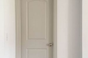 Best Paint: What Paint Finish for Interior Doors? [Guide] | Best Final Touch: Elevate Your Projects with Professional Finishing