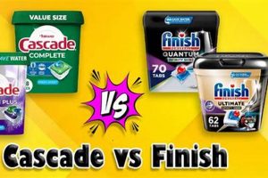 Agile Showdown: Finish vs Cascade Project Methods | Best Final Touch: Elevate Your Projects with Professional Finishing