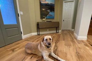 Best Dog Proof Hardwood Floor Finish: Guide & Reviews | Best Final Touch: Elevate Your Projects with Professional Finishing