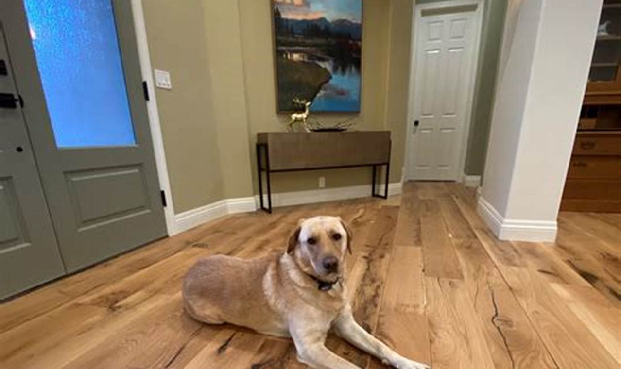 Best Dog Proof Hardwood Floor Finish: Guide & Reviews | Best Final Touch: Elevate Your Projects with Professional Finishing