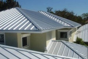 Bare Beauty: Mill Finish Metal Roof Options & Info | Best Final Touch: Elevate Your Projects with Professional Finishing