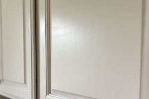 Choosing What Is The Best Paint Finish For Kitchen Cabinets: A Guide | Best Final Touch: Elevate Your Projects with Professional Finishing