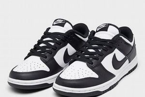 Buy Finish Line Panda Dunks: Guide + Tips | Best Final Touch: Elevate Your Projects with Professional Finishing