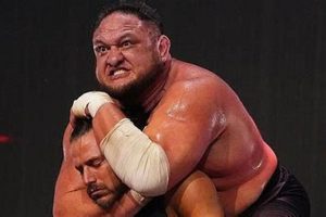 Decoding Samoa Joe's Finisher: Power & Precision | Best Final Touch: Elevate Your Projects with Professional Finishing