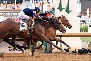 2024 Kentucky Derby Results: Official Finishing Order! | Best Final Touch: Elevate Your Projects with Professional Finishing