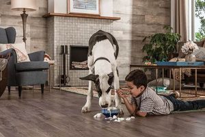 Top Rated: Best Hardwood Floor Finish for Dogs - Guide! | Best Final Touch: Elevate Your Projects with Professional Finishing