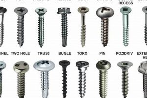 Buy Premium Finish Screws: The Perfect Finishing Touch | Best Final Touch: Elevate Your Projects with Professional Finishing