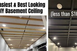 Basement on a Budget: Cheap Way to Finish Ceiling Ideas | Best Final Touch: Elevate Your Projects with Professional Finishing