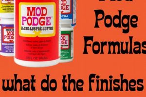 Custom Mod Finishes: Updated Looks & Beyond | Best Final Touch: Elevate Your Projects with Professional Finishing