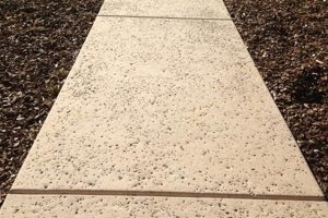 Achieve Stunning Salted Concrete Finish Designs Now! | Best Final Touch: Elevate Your Projects with Professional Finishing