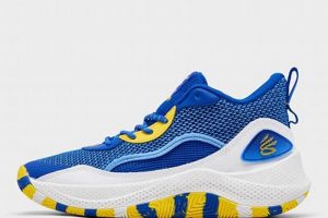 Fuel Your Finish: Finish Line Curry for Runners & Recovery | Best Final Touch: Elevate Your Projects with Professional Finishing