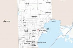 Expert Macomb County Floor Finish: Services &amp; More | Best Final Touch: Elevate Your Projects with Professional Finishing