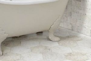 Project Finishers Unlimited: Ace Your Final Stage | Best Final Touch: Elevate Your Projects with Professional Finishing