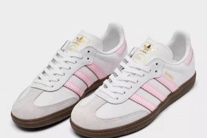 The Sambas Finish Line: Dance to Victory & Beyond! | Best Final Touch: Elevate Your Projects with Professional Finishing