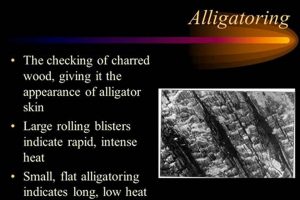 Preventing Alligatoring: Wood Finish Crack Repair Tips | Best Final Touch: Elevate Your Projects with Professional Finishing