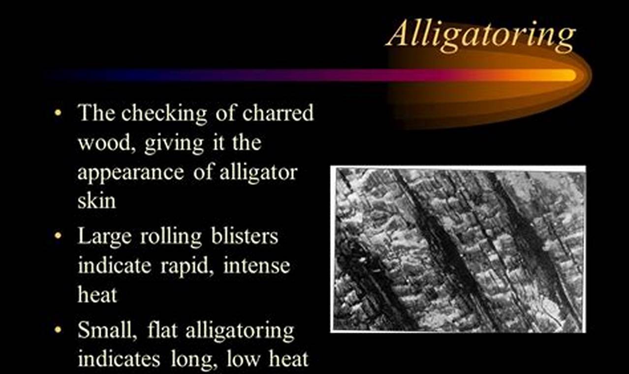 Preventing Alligatoring: Wood Finish Crack Repair Tips | Best Final Touch: Elevate Your Projects with Professional Finishing