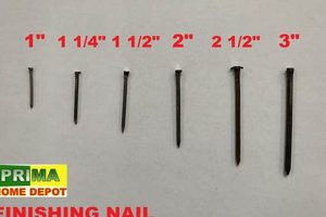 Nail Guide: What Size Finishing Nails for Trim (DIY) | Best Final Touch: Elevate Your Projects with Professional Finishing