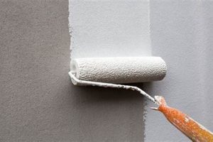 Best Paint Rollers for a Smooth Finish: Guide & Tips | Best Final Touch: Elevate Your Projects with Professional Finishing