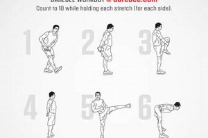 Quick Finisher Exercises: End Your Workout Strong! Best Final Touch: Elevate Your Projects with Professional Finishing Quick Finisher Exercises: End Your Workout Strong! | Best Final Touch: Elevate Your Projects with Professional Finishing