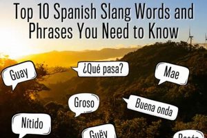 Slang Speak: Finished in Spanish Slang & Expressions | Best Final Touch: Elevate Your Projects with Professional Finishing
