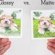 Enhance Photos with a Non Glossy Finish: Benefits & More | Best Final Touch: Elevate Your Projects with Professional Finishing