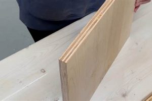 Best Finish Plywood: Guide to Finishing & Grades | Best Final Touch: Elevate Your Projects with Professional Finishing