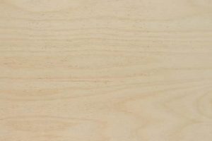 Top-Rated Birch Plywood Finished: Expert Finishing Tips | Best Final Touch: Elevate Your Projects with Professional Finishing