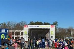 Your Finish Line in Baton Rouge, LA: Shop Now! Best Final Touch: Elevate Your Projects with Professional Finishing Your Finish Line in Baton Rouge, LA: Shop Now! | Best Final Touch: Elevate Your Projects with Professional Finishing