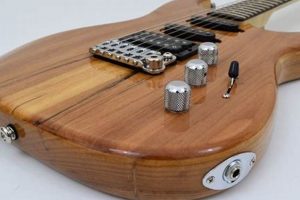 Best Natural Finish Guitars: Beauty & Tone | Best Final Touch: Elevate Your Projects with Professional Finishing