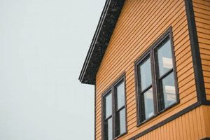 Best Exterior Finish Options: Lasting Beauty | Best Final Touch: Elevate Your Projects with Professional Finishing