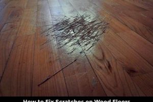 Easy Fix: Finish On Hardwood Floor Repair Tips Best Final Touch: Elevate Your Projects with Professional Finishing Easy Fix: Finish On Hardwood Floor Repair Tips | Best Final Touch: Elevate Your Projects with Professional Finishing