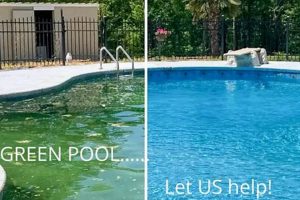 Revitalize Your Pool: Fresh Finish Pools Resurfacing | Best Final Touch: Elevate Your Projects with Professional Finishing