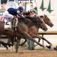 2024 Derby Photo Finish: Nail-Biting Racing Endings! | Best Final Touch: Elevate Your Projects with Professional Finishing