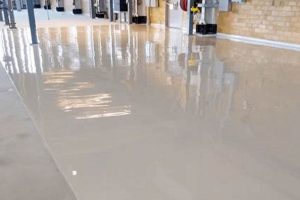 Best Acrylic Floor Finish: Benefits & Buying Tips | Best Final Touch: Elevate Your Projects with Professional Finishing