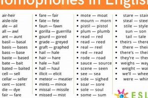 Mastering Homophone Finish: Tips &amp; Techniques | Best Final Touch: Elevate Your Projects with Professional Finishing