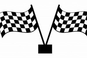 Racing Finish Line Flags: Checkered Victory & Beyond! | Best Final Touch: Elevate Your Projects with Professional Finishing