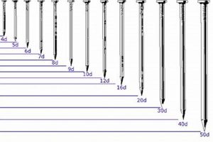 Brad Nail vs Finishing Nail: Which Nail is Best? | Best Final Touch: Elevate Your Projects with Professional Finishing