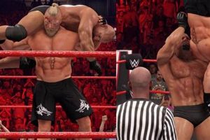 Iconic Goldberg Finisher: Power, Impact & Legacy | Best Final Touch: Elevate Your Projects with Professional Finishing