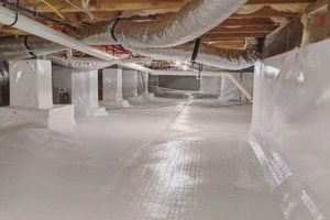Basement-Grade Finished Crawl Space: Transform Your Home! Best Final Touch: Elevate Your Projects with Professional Finishing Basement-Grade Finished Crawl Space: Transform Your Home! | Best Final Touch: Elevate Your Projects with Professional Finishing