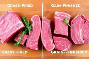 Beef Finishing: What Does Finished Beef Really Mean? | Best Final Touch: Elevate Your Projects with Professional Finishing