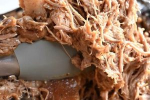 Oven Finish: Juicy Pulled Pork Perfection Method | Best Final Touch: Elevate Your Projects with Professional Finishing