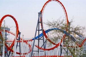 Find Finish Line Glendale Store & More! Best Final Touch: Elevate Your Projects with Professional Finishing Find Finish Line Glendale Store & More! | Best Final Touch: Elevate Your Projects with Professional Finishing