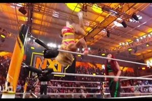 Unleashing the Sol Ruca Finisher: Impactful & Unique | Best Final Touch: Elevate Your Projects with Professional Finishing