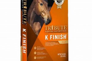 A Grand K Finish Tribute Finale: Celebrate Success! Best Final Touch: Elevate Your Projects with Professional Finishing A Grand K Finish Tribute Finale: Celebrate Success! | Best Final Touch: Elevate Your Projects with Professional Finishing