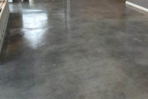 Top Residential Concrete Floor Finishes: Styles & Options | Best Final Touch: Elevate Your Projects with Professional Finishing