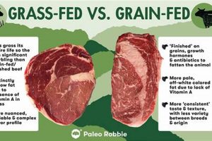 Why Grass Fed Finished Beef is Better (Guide) | Best Final Touch: Elevate Your Projects with Professional Finishing