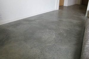 Best Cement Floor Finishes: Options & Ideas for Your Floor Best Final Touch: Elevate Your Projects with Professional Finishing Best Cement Floor Finishes: Options & Ideas for Your Floor | Best Final Touch: Elevate Your Projects with Professional Finishing