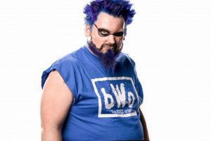 Mastering The Blue Meanie Finisher: End Game Domination! | Best Final Touch: Elevate Your Projects with Professional Finishing